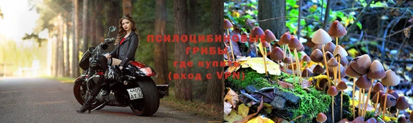 спиды Мегион