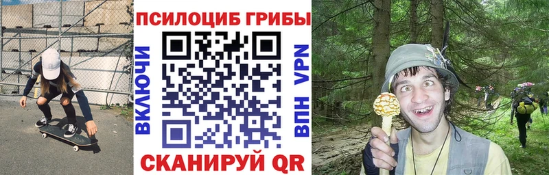 Галлюциногенные грибы мухоморы  Старая Купавна 